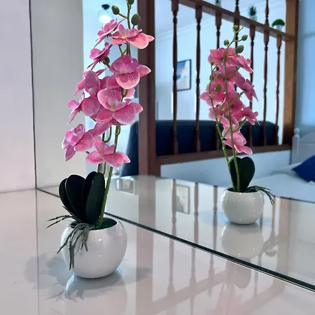 公寓 Apartamento-estudio En La Playa *